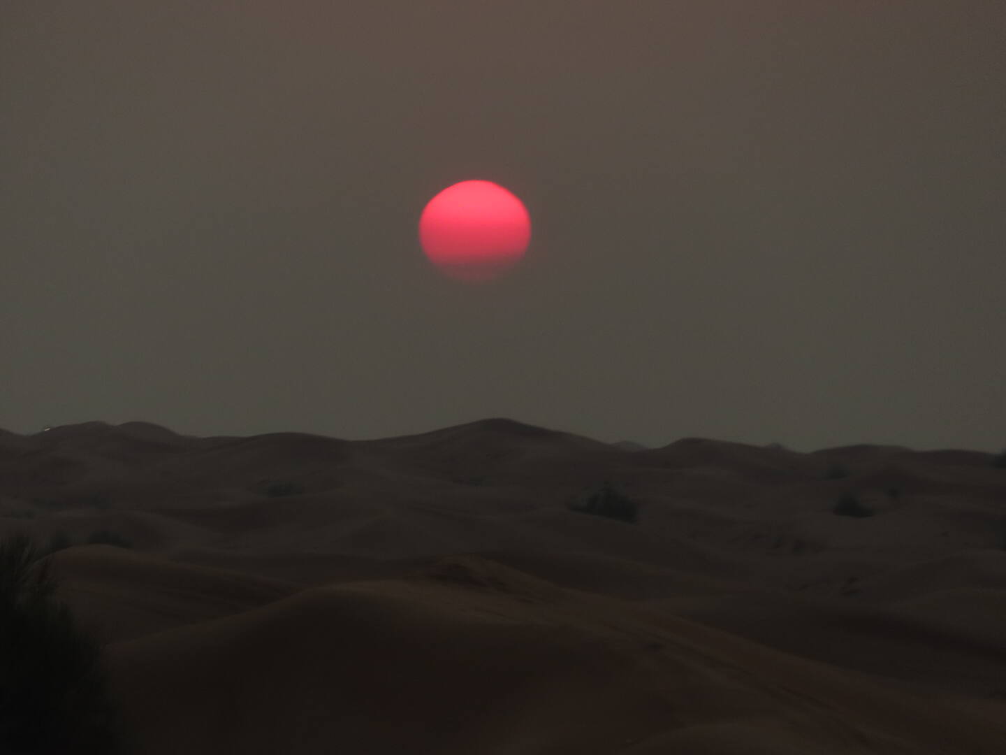 Desierto Dubai